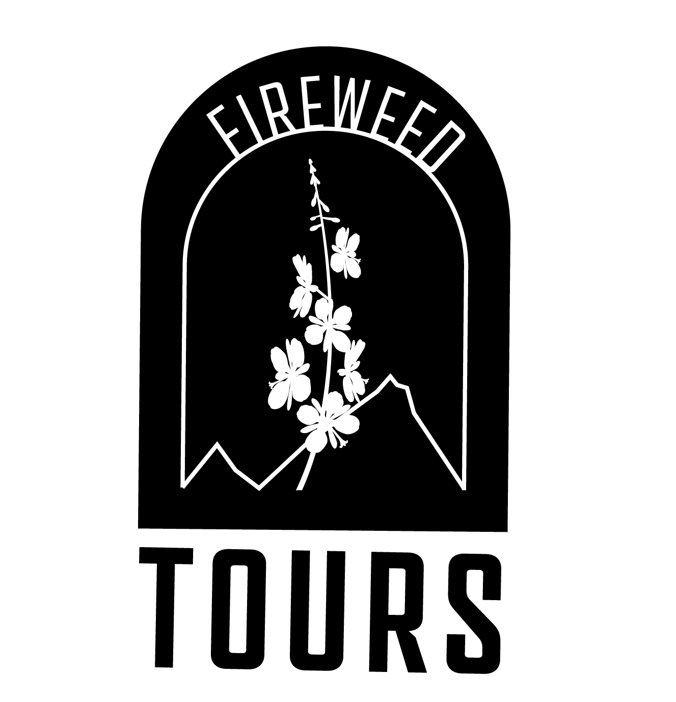 Logo variation 1