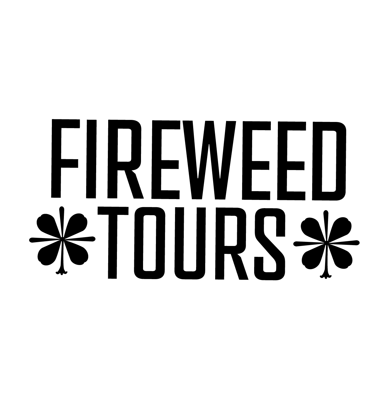 Logo variation 2